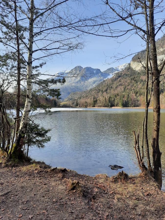 Haus Gmahblick Ferienwonungen Otel Alpbach Dış mekan fotoğraf
