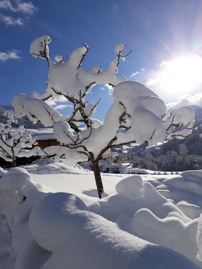 Haus Gmahblick Ferienwonungen Otel Alpbach Dış mekan fotoğraf