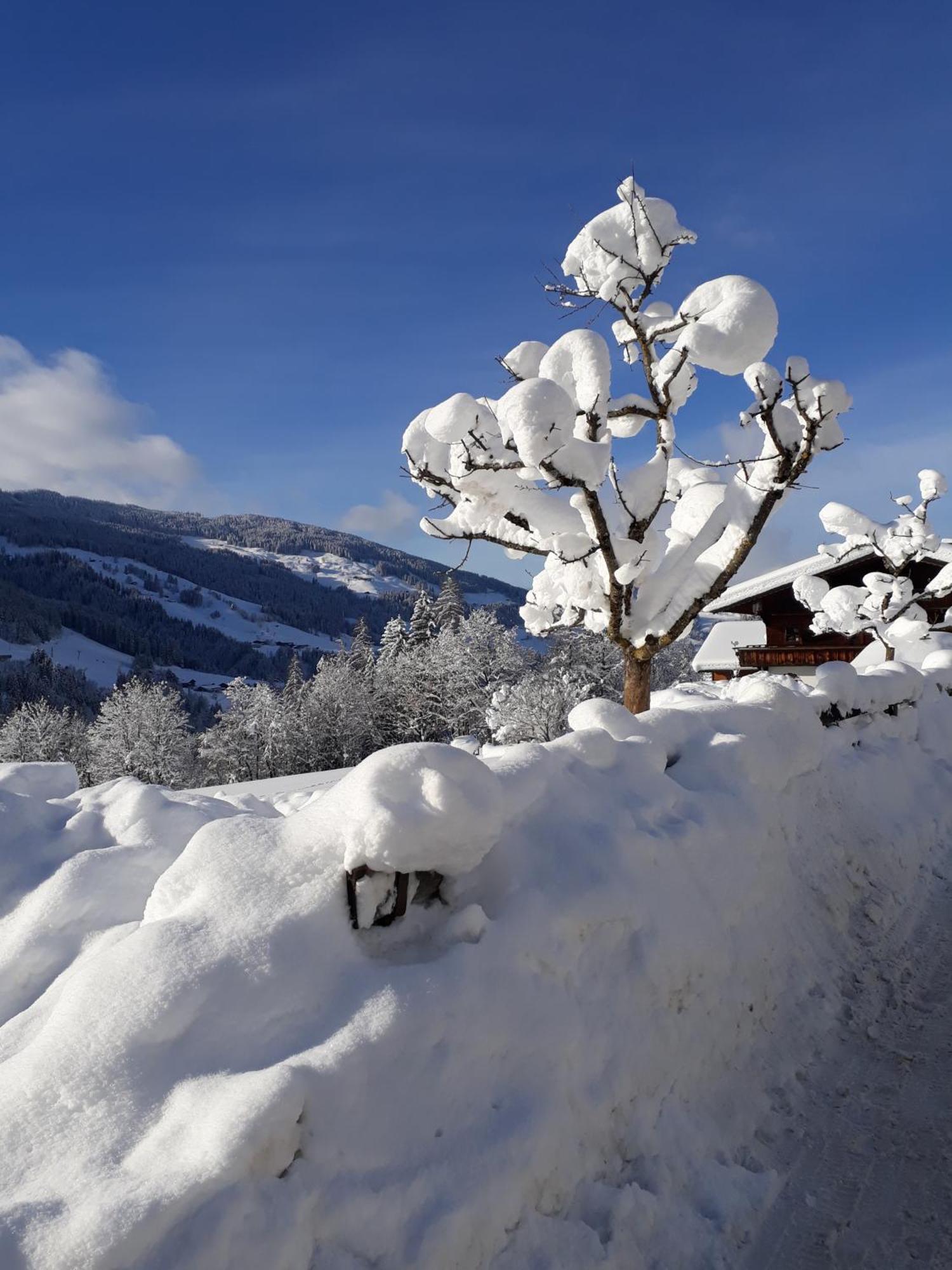 Haus Gmahblick Ferienwonungen Otel Alpbach Dış mekan fotoğraf
