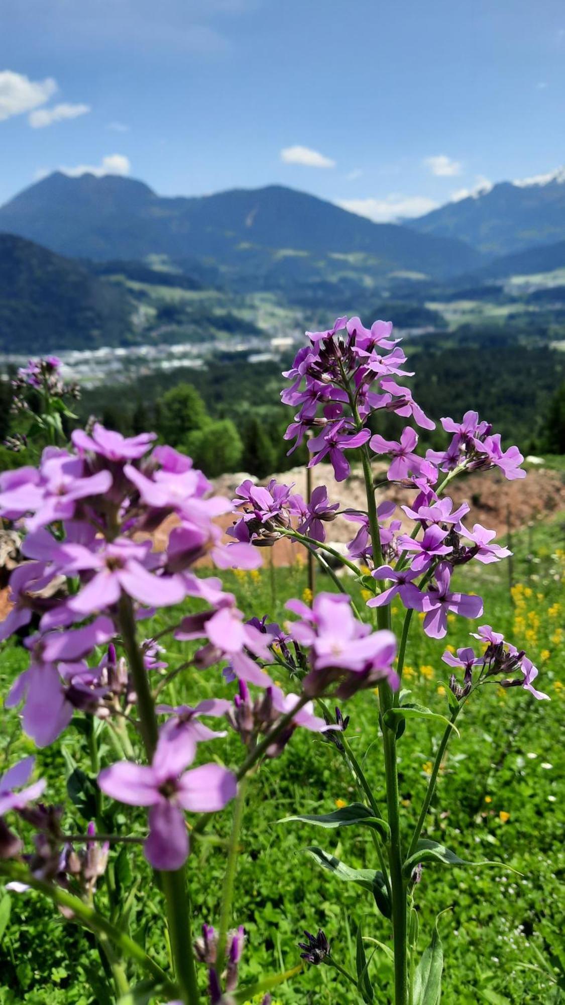 Haus Gmahblick Ferienwonungen Otel Alpbach Dış mekan fotoğraf