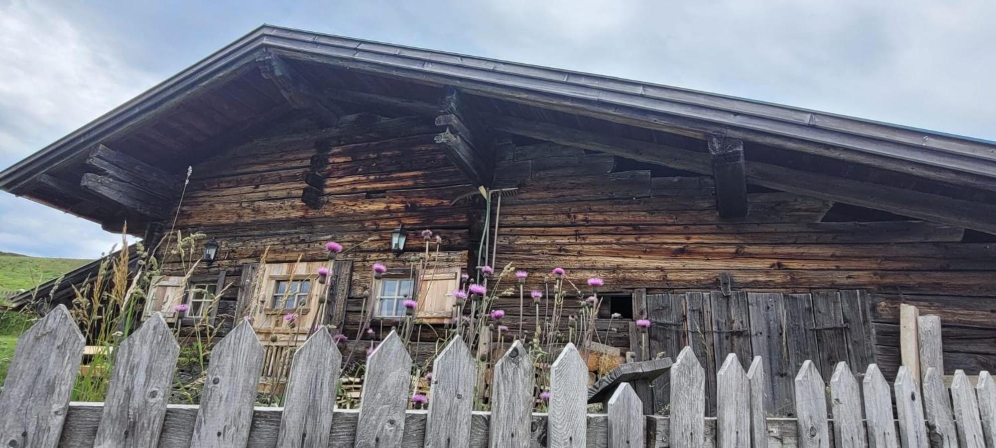Haus Gmahblick Ferienwonungen Otel Alpbach Dış mekan fotoğraf