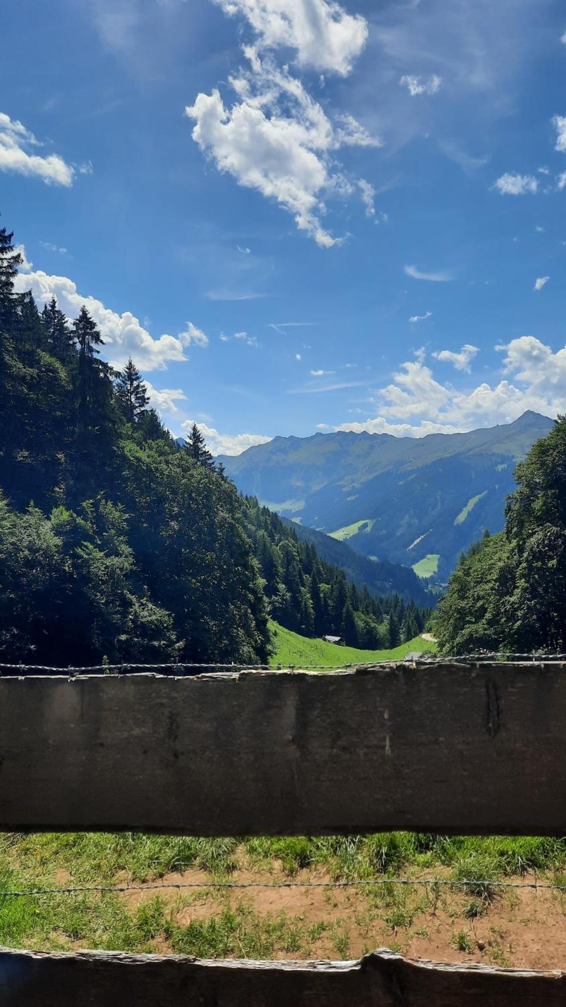 Haus Gmahblick Ferienwonungen Otel Alpbach Dış mekan fotoğraf
