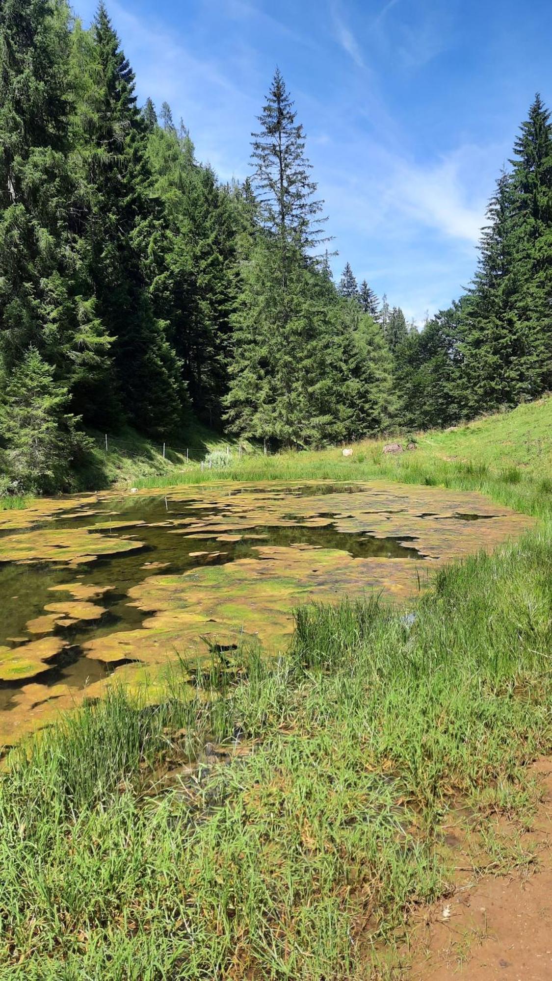 Haus Gmahblick Ferienwonungen Otel Alpbach Dış mekan fotoğraf